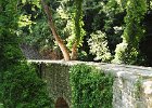 2012.06.30 Bilder rund um die Pilionbahn (34)